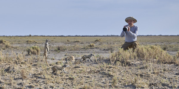 Tom photographing meerkats foraging