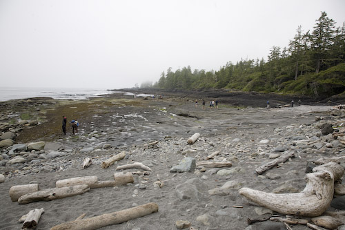 Botanical beach