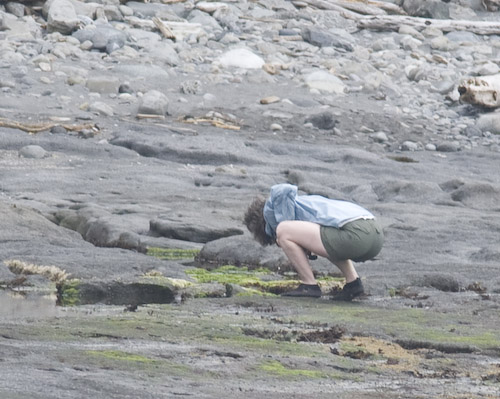 marine biology squat