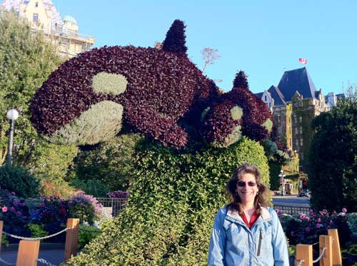 orca topiary