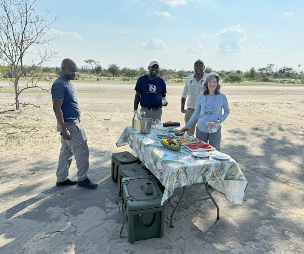 Afternoon tea at the airstrip near Gomoti camp