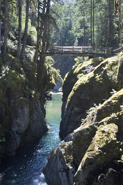 Downstream from Silver Falls