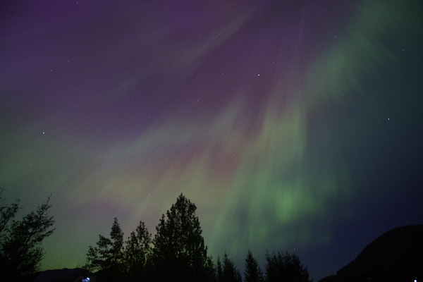 aurora borealis, Snoqualmie, WA