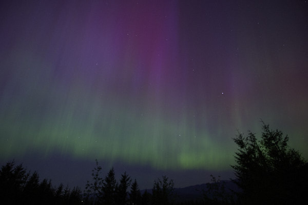 aurora borealis, Snoqualmie, WA