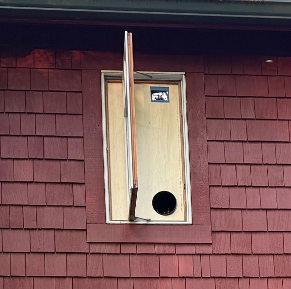 Owl blind as seen from outside