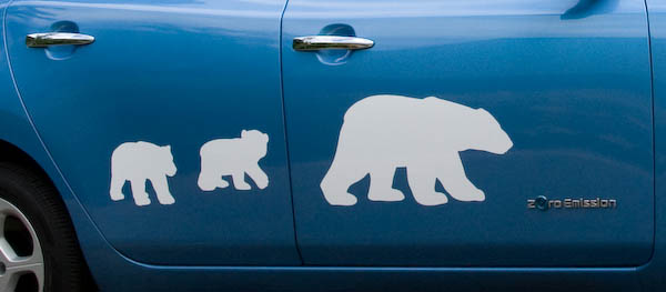 polar bear family on passenger side
