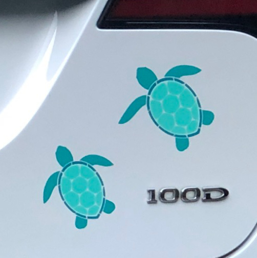 turtles on car