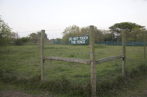 Cheetah enclosure