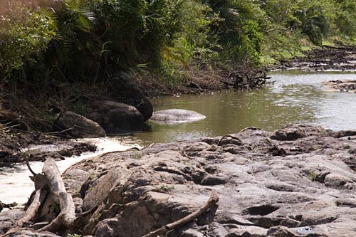 mystery pond