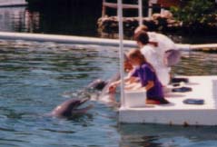 Cathy Playing Dolphin Vet