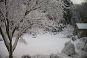 snow Dec 2008