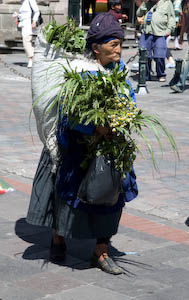 woman coming into Quito with her wares
